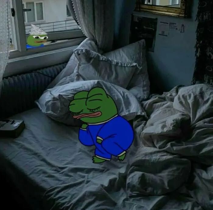 meme ngủ ếch
