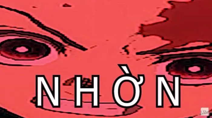 meme ngu nhờn