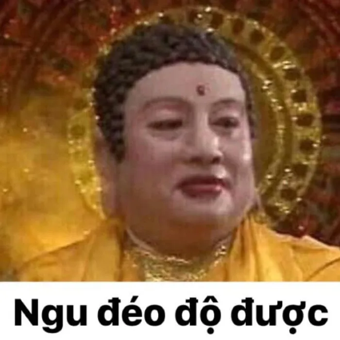 meme ngu phật