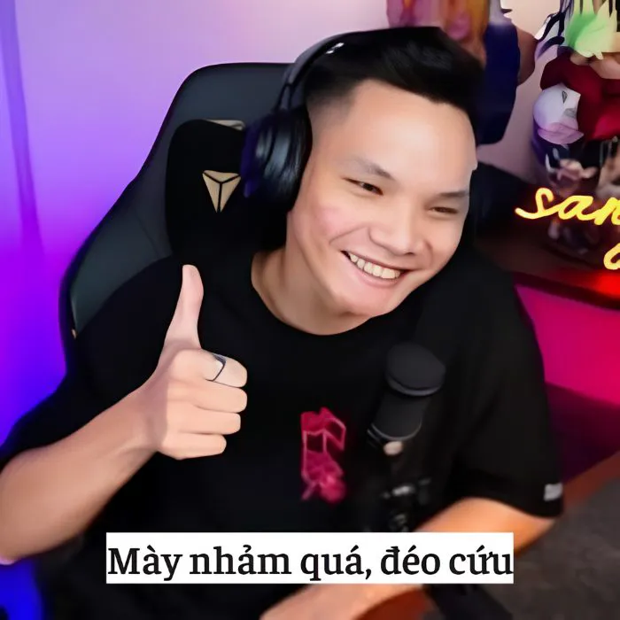 meme ngu streamer
