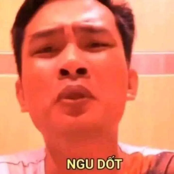 meme ngu tuấn bịp