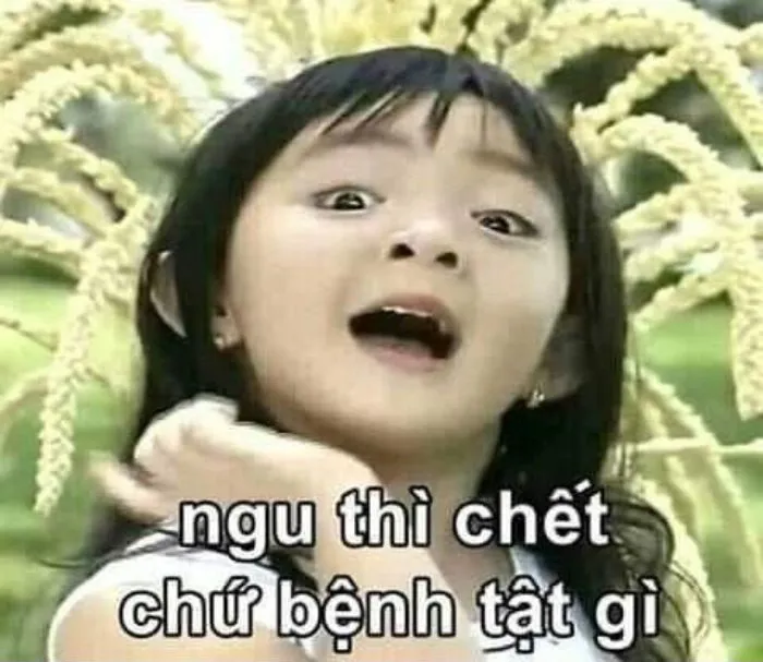 meme ngu xuân mai