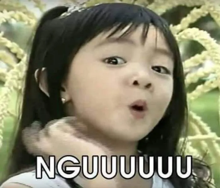 meme nguuuu