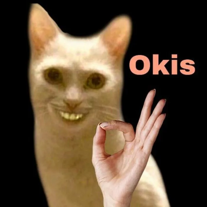meme ok khó hiểu