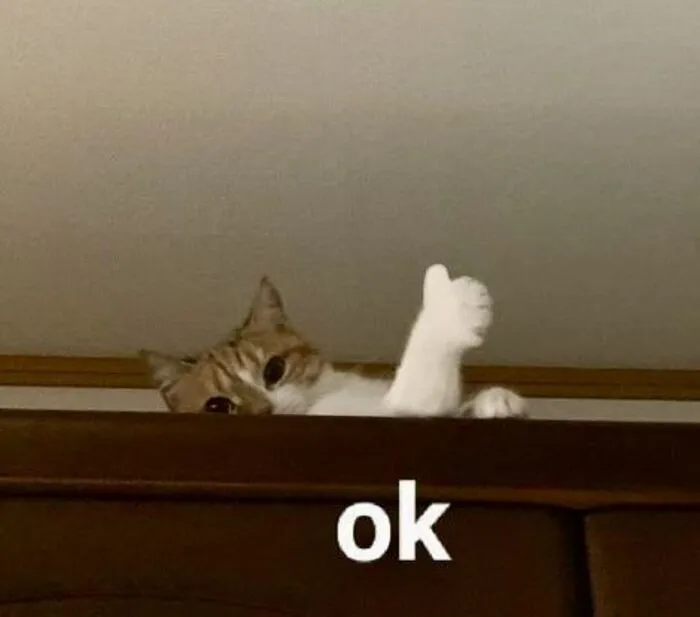 meme ok phản ứng ngáo