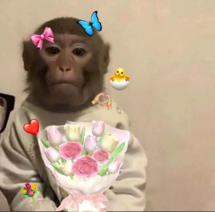 meme tặng hoa nhưng hài