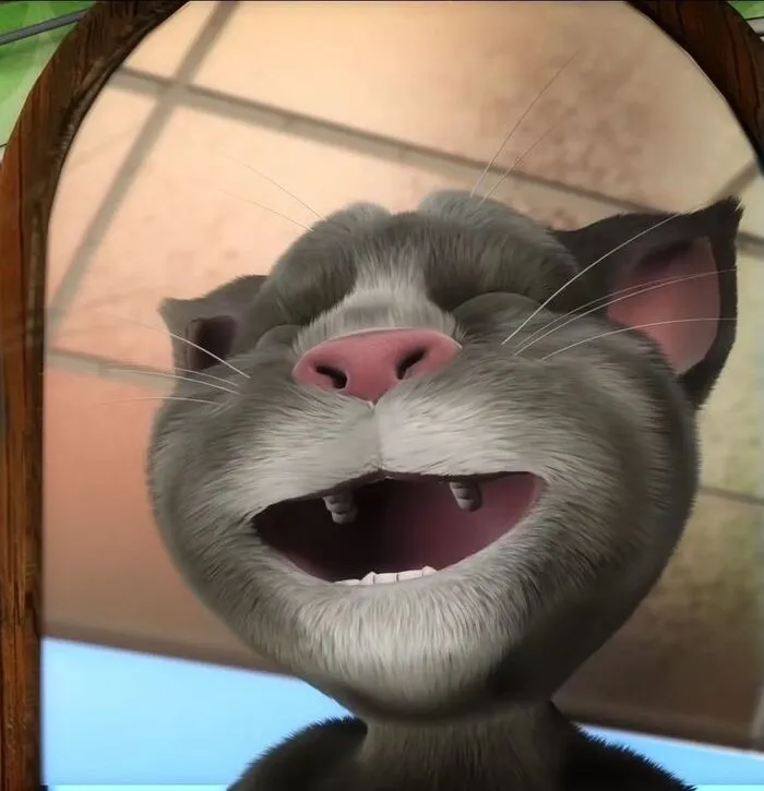 tom meme cực ngố tom meme cực ngố