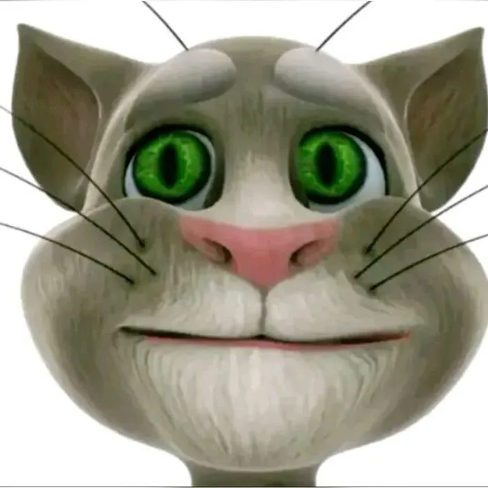 tom meme cute hot cực yêu tom meme cute hot cực yêu