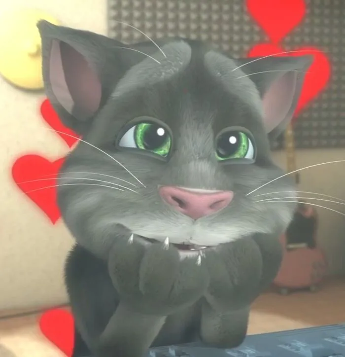 tom meme cute hot nhất tom meme cute hot nhất