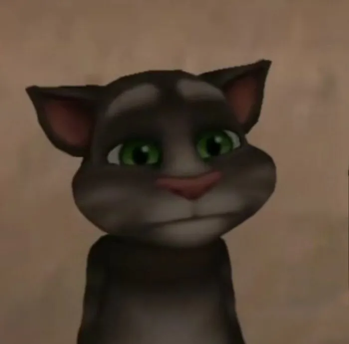 tom meme đáng yêu bựa tom meme đáng yêu bựa