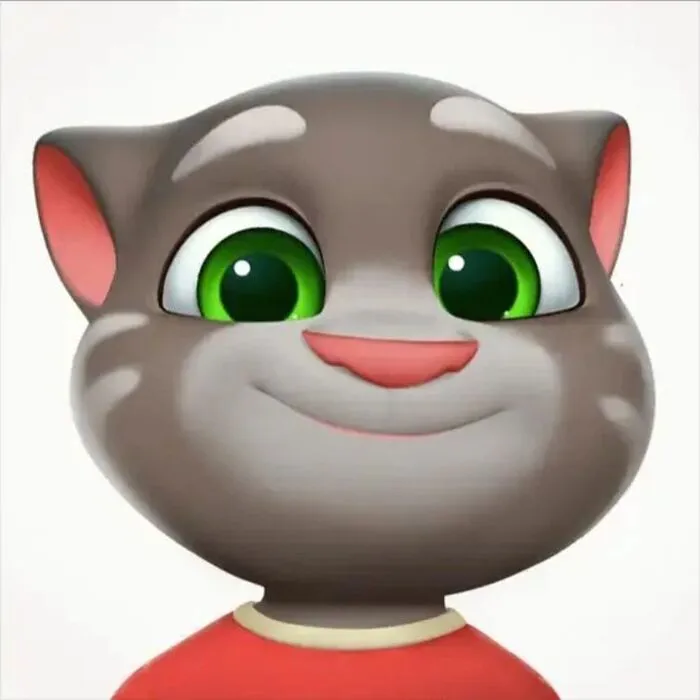 tom meme đáng yêu nhất tom meme đáng yêu nhất