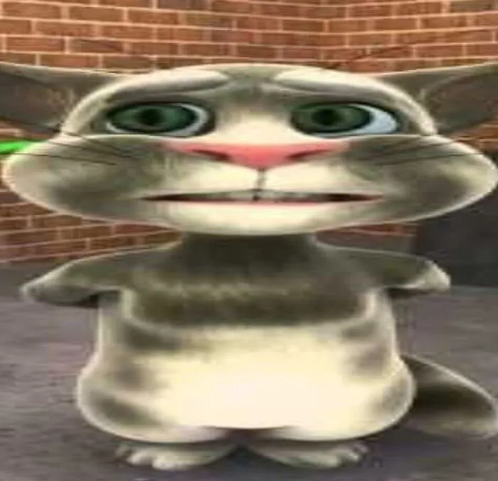 tom meme đáng yêu xỉu tom meme đáng yêu xỉu