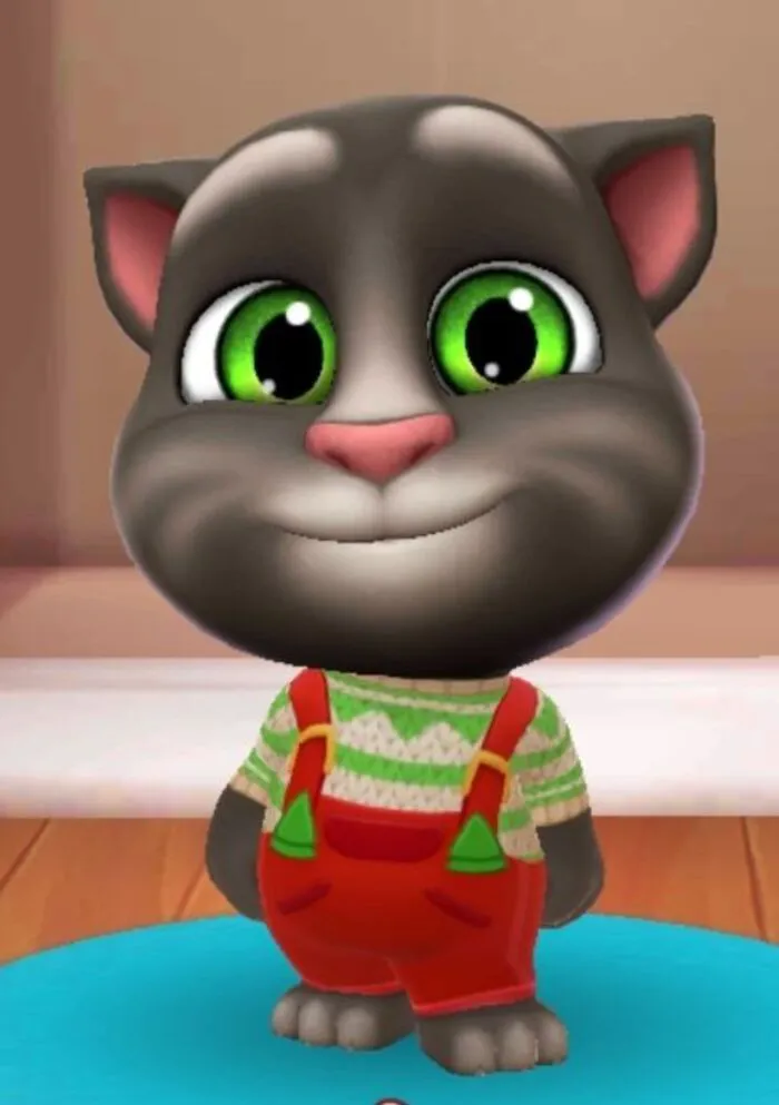 tom meme hài ngố tom meme hài ngố