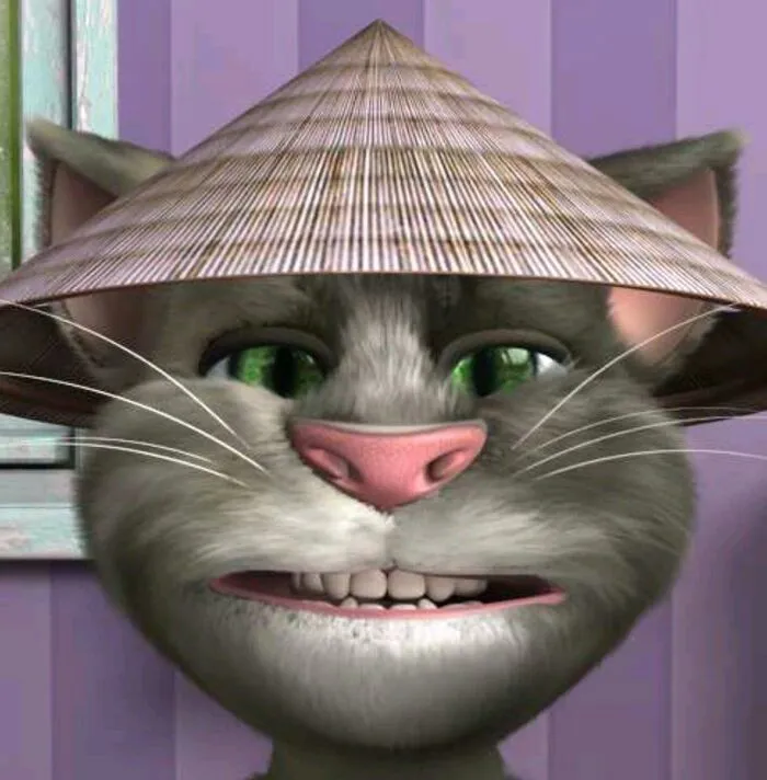 tom meme hài nhất tom meme hài nhất