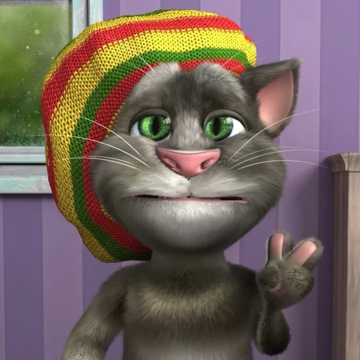tom meme hài tom meme hài