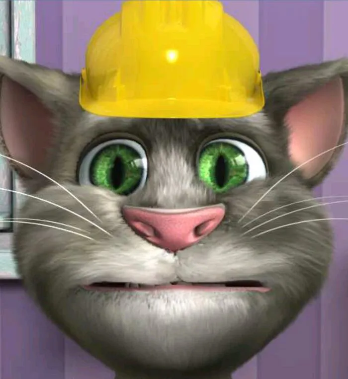 tom meme ngố tom meme ngố