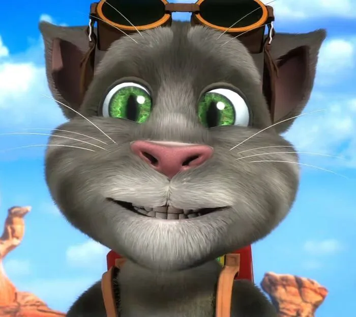 tom meme siêu ngố tom meme siêu ngố