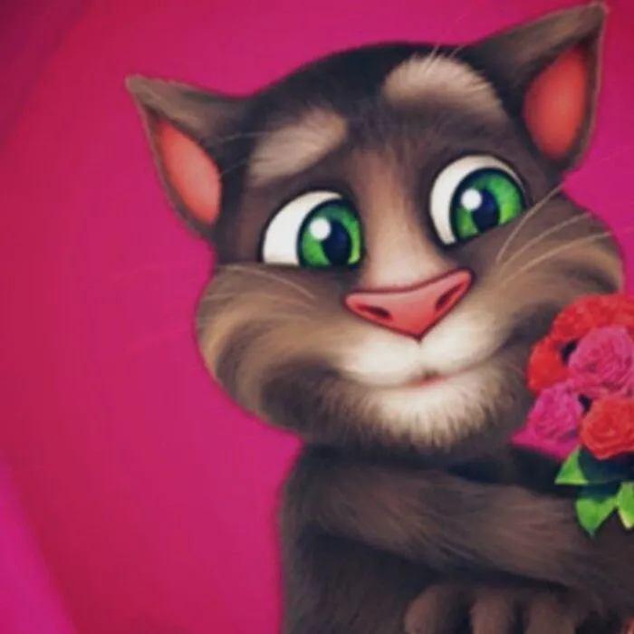 tom meme tom meme