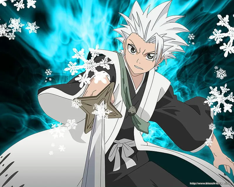 Tổng hợp ảnh toshiro hitsugaya hot