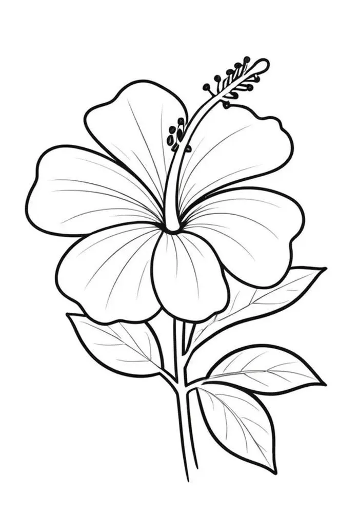 tranh tô màu bông hoa 14