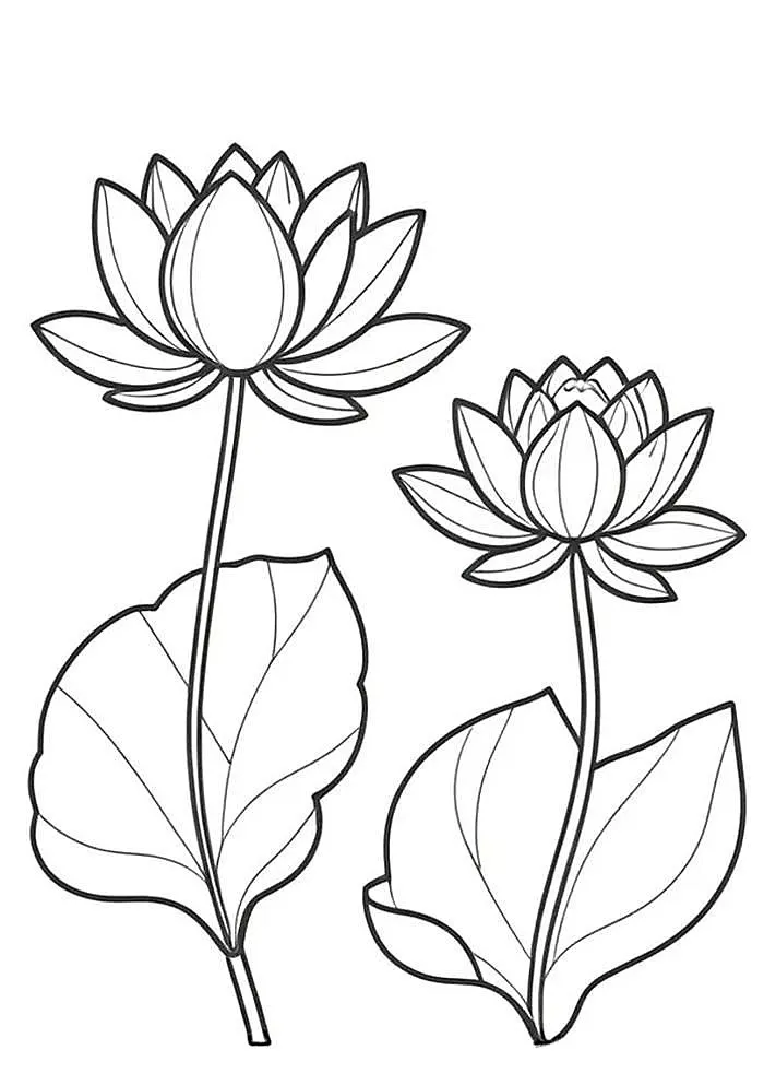 tranh tô màu bông hoa 15