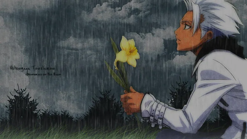 Tuyển tập bộ ảnh toshiro hitsugaya miễn phí