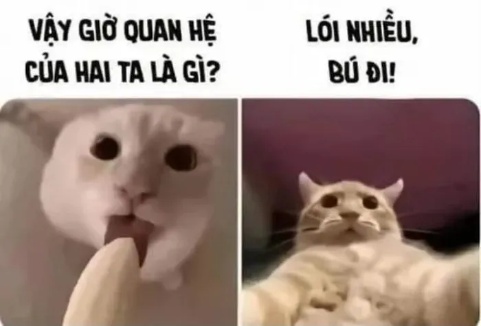 vắt cực khô meme bị dùng tới giọt cuối