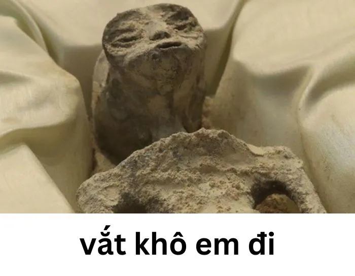 vắt cực khô meme bị khai thác triệt để
