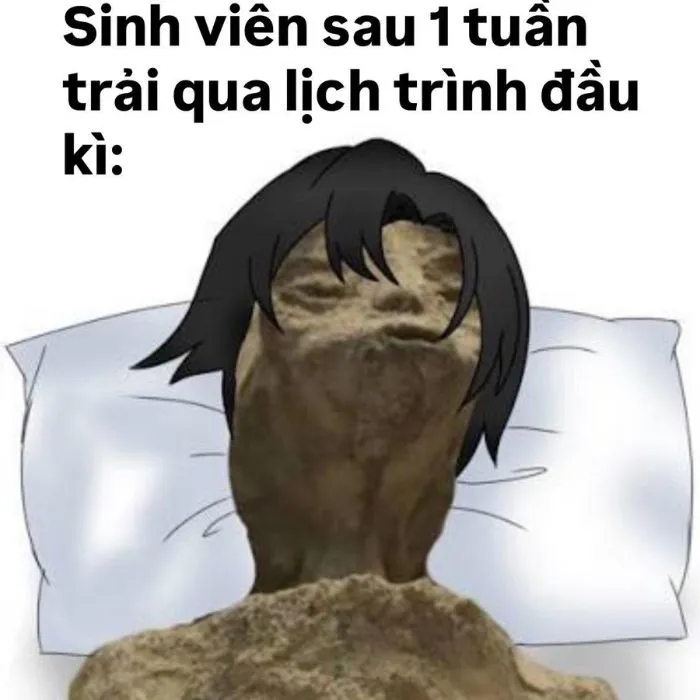 vắt cực khô meme bị tận diệt năng lượng