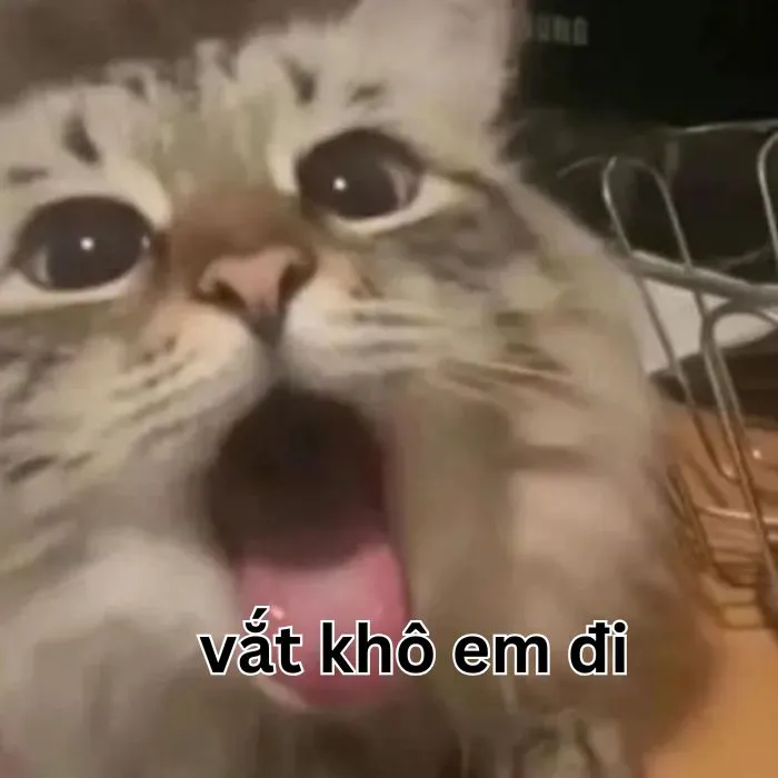 vắt cực khô meme bị tận dụng không thương tiếc