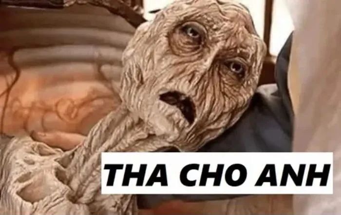 vắt cực khô meme không còn gì để mất