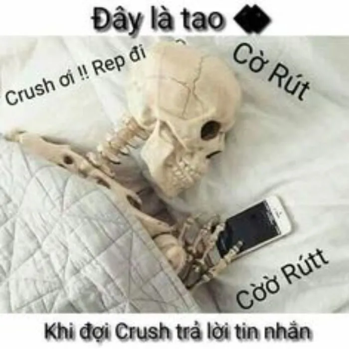 vắt cực khô meme không còn giọt nào
