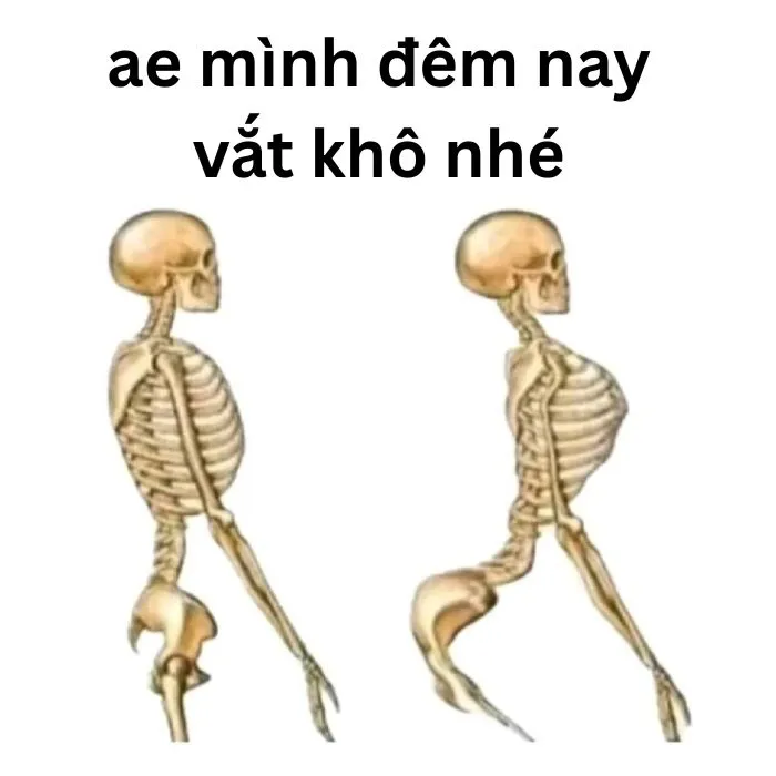 vắt cực khô meme nhìn mà bất lực