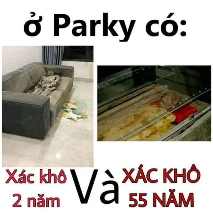 vắt cực khô meme nhìn mà xót