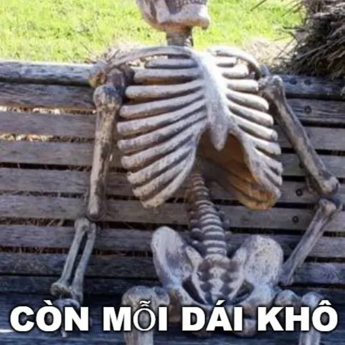 vắt cực khô meme xương
